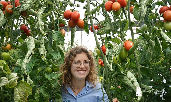 Rocío Redondo, técnica de desarrollo en tomate de CapGen Seeds / agroautentico.com