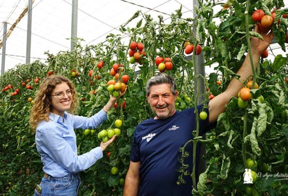 El nuevo pera de exportación de CapGen ya tiene nombre: tomate Panoramix