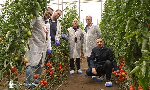 Iván Sierra con los agricultores Manuel y Víctor Berenguel; con Juanjo Martínez, 'Tomates de Autor'; y Antonio Algarra, I+D en Agroponiente / agroautentico.com