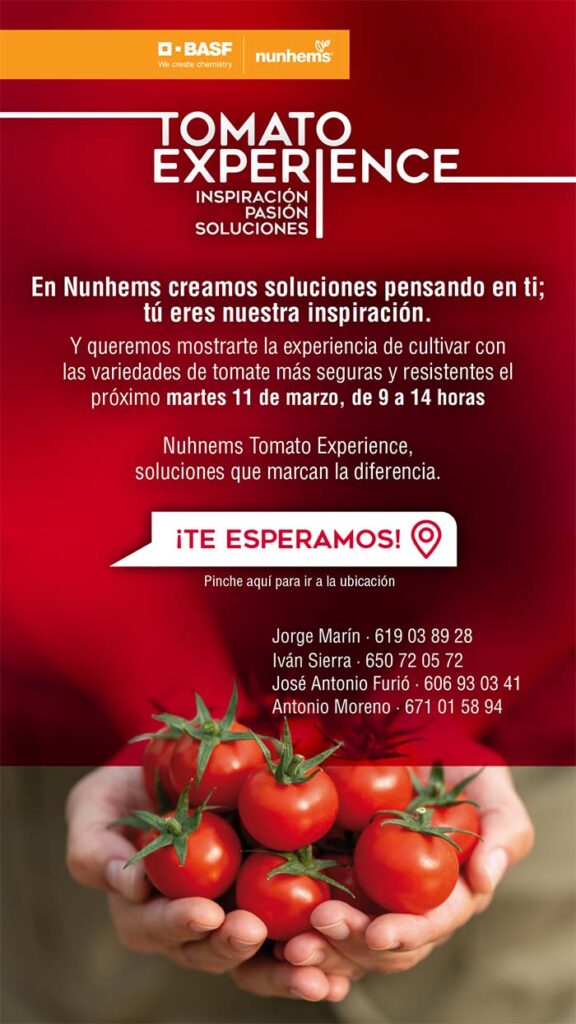 Tomato Experience de Nunhems