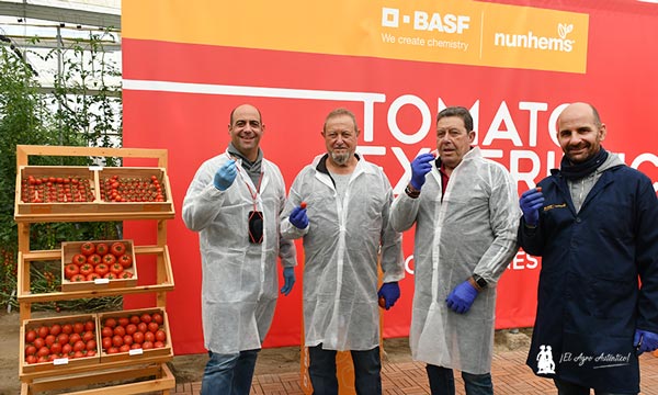 Puertas abiertas de tomate de BASF Nunhems / agroautentico.com