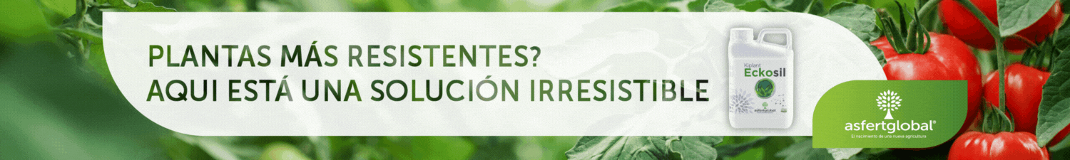 CABECERA ASFERTGLOBAL ABRIL 2025