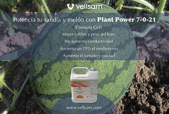 POST 1 VELLSAM