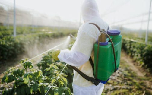 Aplicación de productos fitosanitarios en un invernadero / agroautentico.com