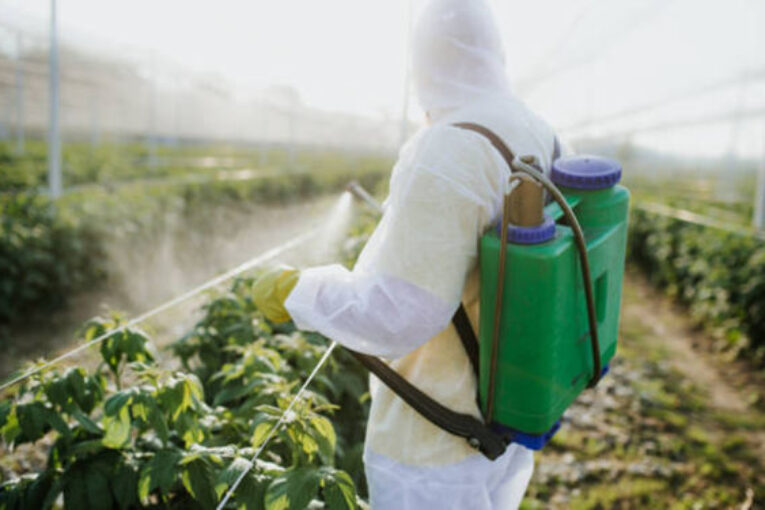 Las empresas de protección vegetal también apuestan por la feria de Almería