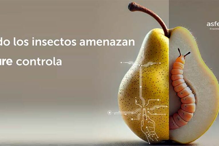 El nuevo bioinsecticida Kiplant BT-KURE hace frente a orugas, polillas y chinches