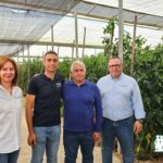 Certis Belchim bioestimulación y protección de principio a fin de ciclo / agroautentico.com