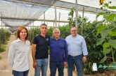De principio a fin de cultivo con protección y bioestimulación de Certis Belchim