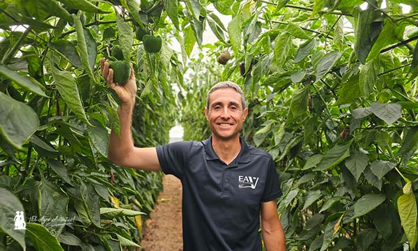 David Sánchez, agricultor que implementa en su finca el programa de Certis Belchim / agroautentico.com