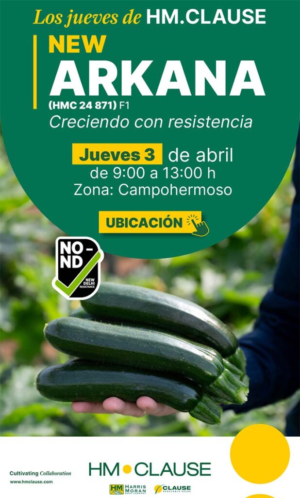 Calabacín Arkana con resistencia a Nueva Delhi de HM Clause