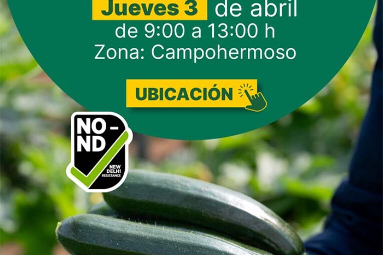 Día 3 de abril. Jornada de calabacín Arkana de HM.Clause