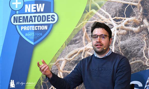 Nueva línea genética mejorada en portainjertos de tomate de Bayer de Ruiter