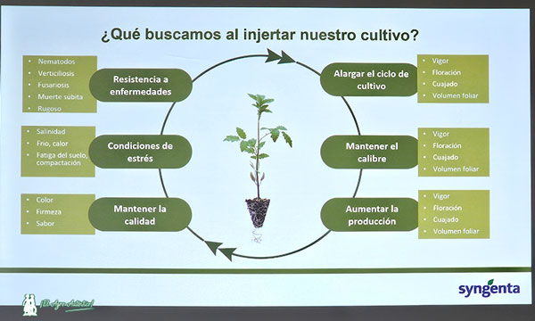 Rafael Salinas, jefe de producto de tomate 5