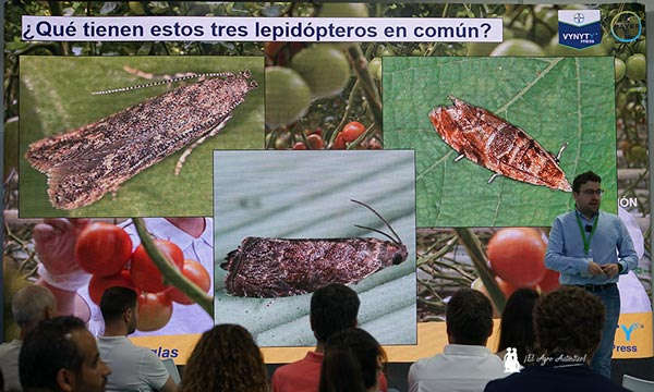 Premio ‘Sanidad Vegetal’ a Bayer y presentación de Vynyty Tuta Press en Aguadulce c