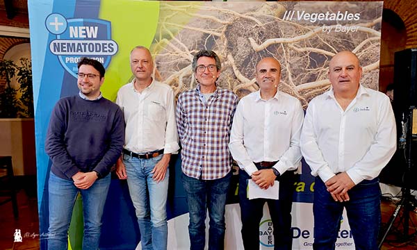 Bayer lanza el nuevo portainjertos DRTX6695 en tomate en una estrategia integrada frente a nematodos - agroautentico