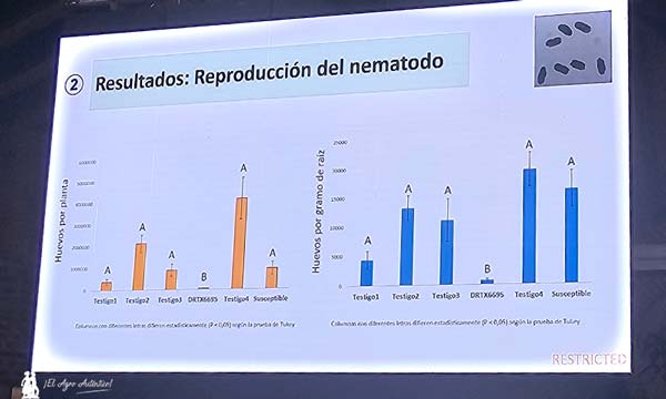 Nueva genética en portainjertos de Bayer de Ruiter