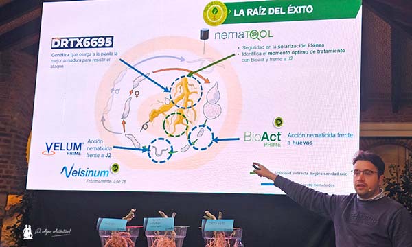 Para Bayer entender el ciclo del nematodo es la base de la estrategia -agroautentico
