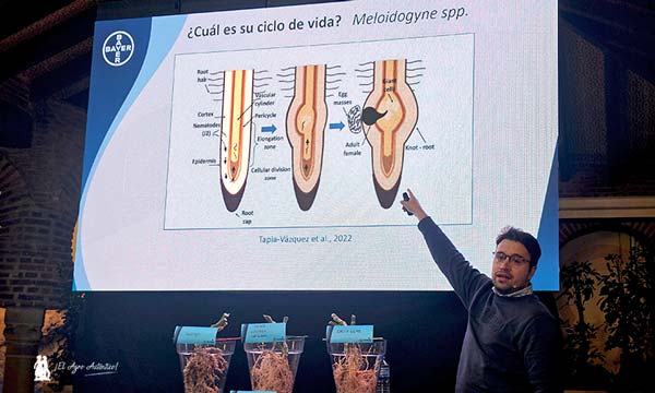El papel clave de Nematool