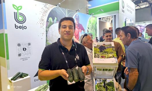 Bejo amplía su catálogo de pepino. Yorkyng Antonio Vera con la nueva variedad de corto negro o español / agroautentico.com