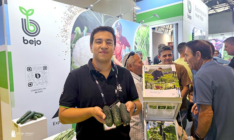 Nuevas variedades de Bejo completan su catálogo de pepino español y francés