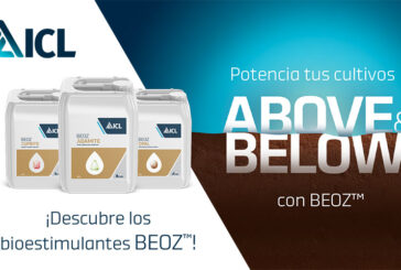 ICL lanza la gama de bioestimulantes BEOZ ™ para rendir con máximo potencial 