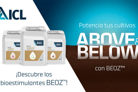 ICL lanza la gama de bioestimulantes BEOZ ™ para rendir con máximo potencial 