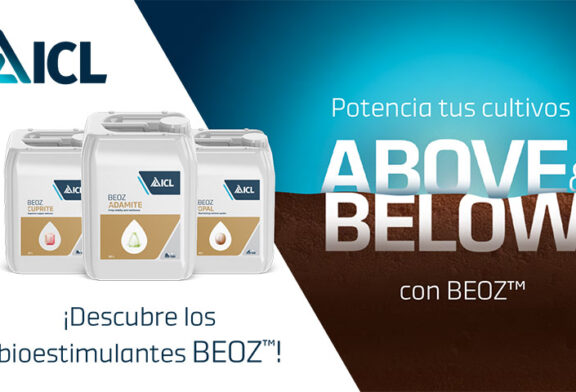 ICL lanza la gama de bioestimulantes BEOZ ™ para rendir con máximo potencial 