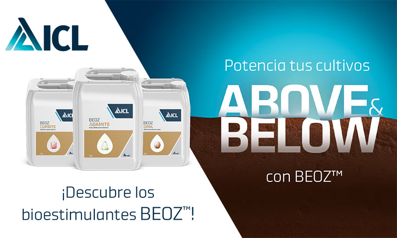ICL lanza la gama de bioestimulantes BEOZ ™ para rendir con máximo potencial 