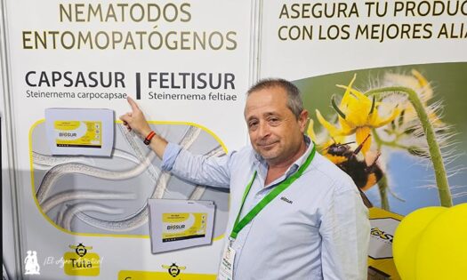 Biosur expone como novedad en Infoagro sus nematodos entomopatógenos 6