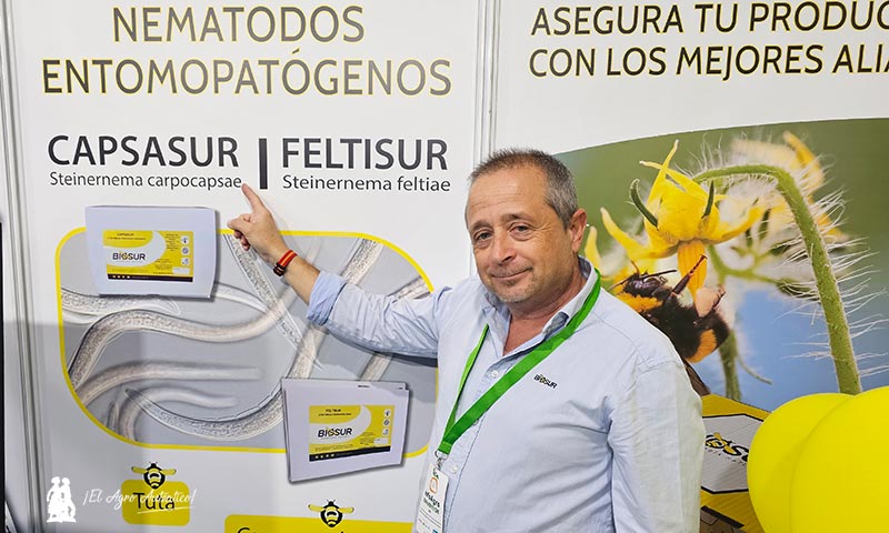 Biosur expone como novedad en Infoagro sus nematodos entomopatógenos