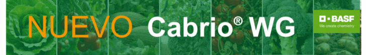 INNOVA E INVESTIGA BASF AGROMR