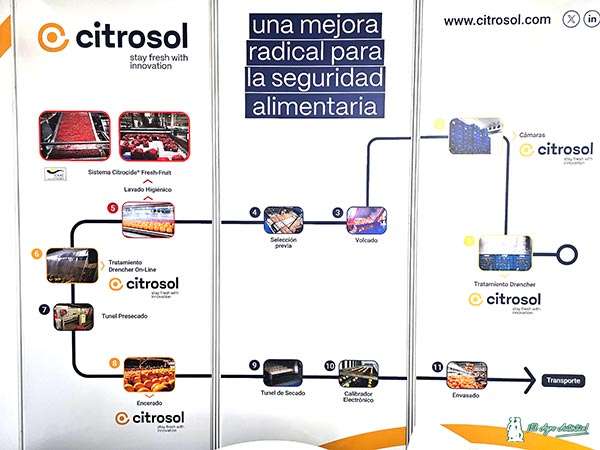 Sistemas Citrocide de Citrosol en pimiento y tomate / agroautentico.com