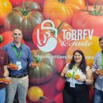 Llegan los primeros tomates resistentes a rugoso de Gautier 2