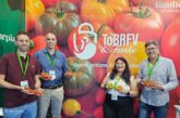 Llegan los primeros tomates resistentes a rugoso de Gautier