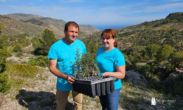 Inaugurada la finca experimental de reforestación de la Sierra de Gádor 7-agroautentico