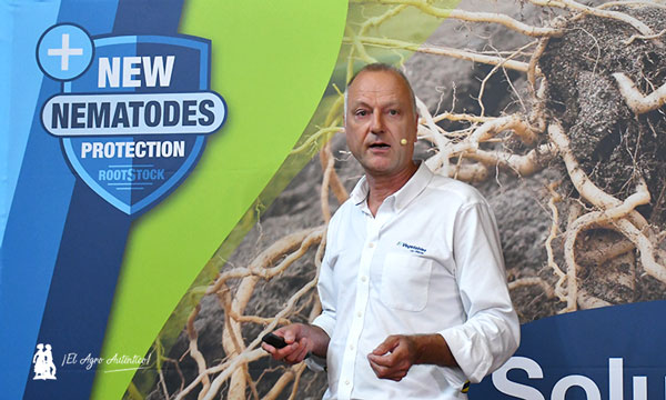 Bayer lanza el nuevo portainjertos DRTX6695 en tomate en una estrategia integrada frente a nematodos