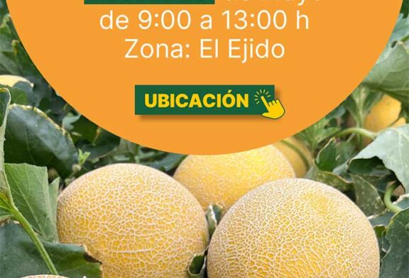 Día 29 de mayo. Jornada de melón Galia de HM.Clause