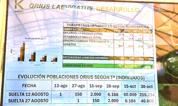 Parvispinus, control horario y nuevos plásticos en las puertas abiertas de El Plantel 2