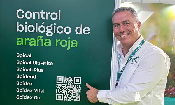 Control biológico de la araña roja de Koppert-agroautentico