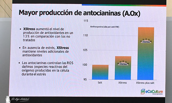 La respuesta de Ecoculture a enfermedades por hongos, virus y bacterias en Infoagro 4