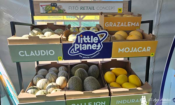 Waikiki, melón piel de sapo, galia y melón amarillo de Semillas Fitó