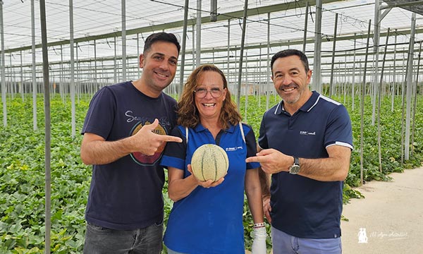 Melón cantaloup Thebes de BASF Nunhems