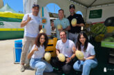 Waikiki, la historia de un mundo exótico convertido en fruta