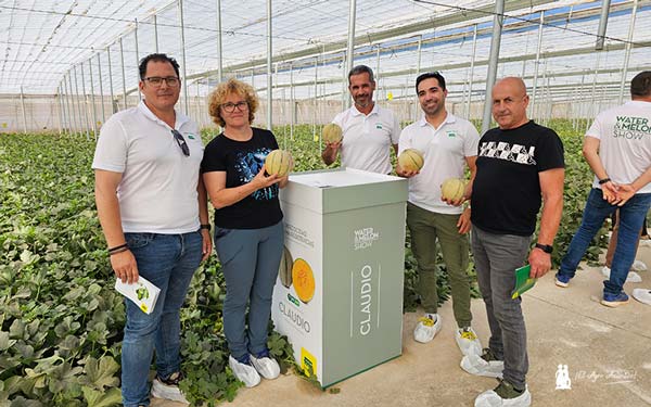 Melón Cantaloup Claudio de Semillas Fitó