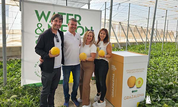 Melón galia Grazalema de Semillas Fitó