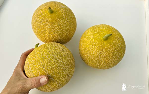 Melón galia Mojácar de Semillas Fitó