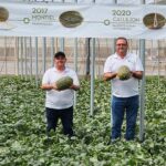 La evolución de Fitó que culmina en piel de sapo con Callejon para Almería -agroautentico
