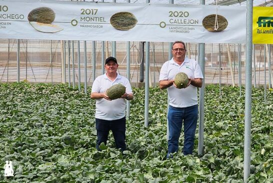 La evolución de Fitó que culmina en piel de sapo con Callejon para Almería