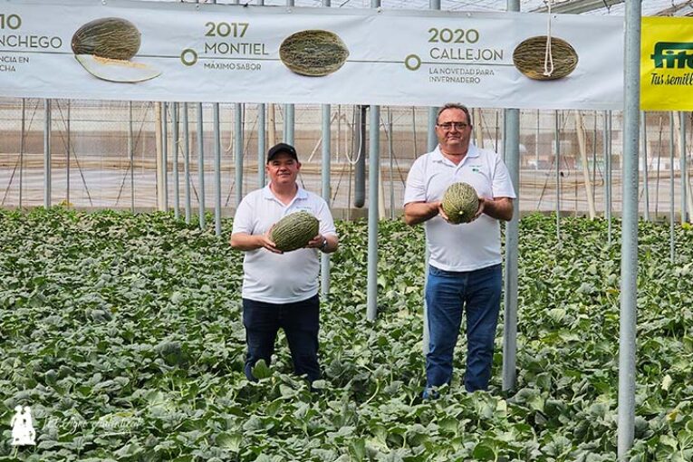 La evolución de Fitó que culmina en piel de sapo con Callejon para Almería
