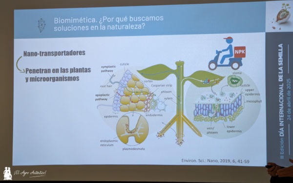 Nanotecnología aplicada a la agricultura / agroautentico.com